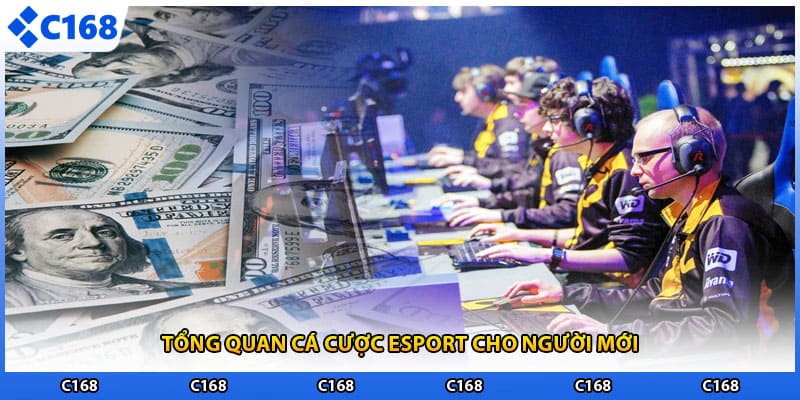 Tổng quan cá cược esport cho người mới